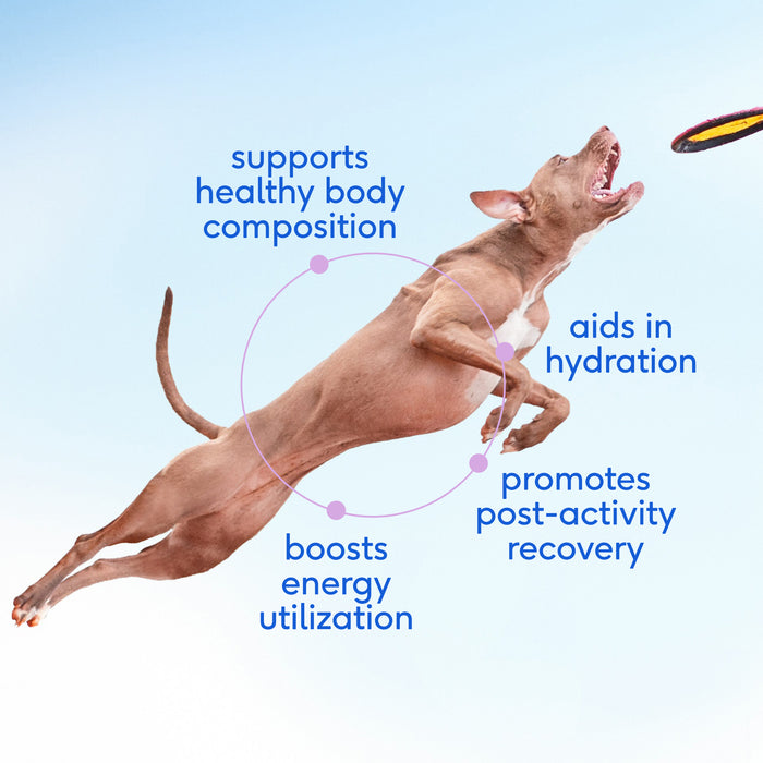 Native Pet Whole Goat Milk Powder Digestive, Recovery, & Energy Support for Active Dogs, 7 oz