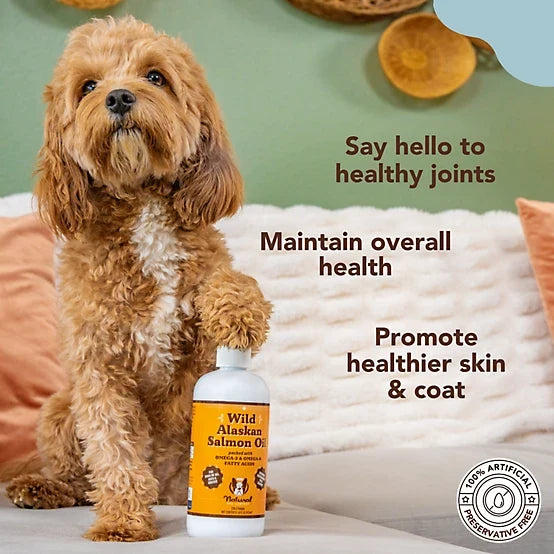 Natural Dog Company Wild Alaskan Salmon Oil Liquid Supplement for Dogs, 16 fl. oz.