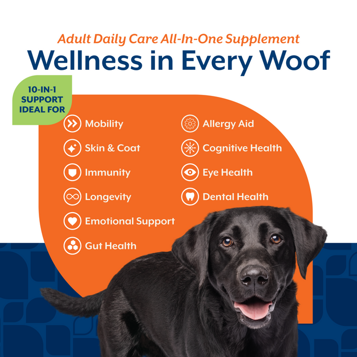 NaturVet Adult Daily Care All-In-One Supplement for Dogs, 10-In-1 Support, Hickory Smoked Bacon Flavor, 60 Count