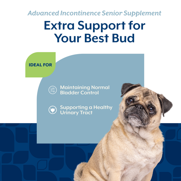 NaturVet Advanced Incontinence Senior Supplement for Dogs, Hickory Smoked Bacon Flavor, 60 Count