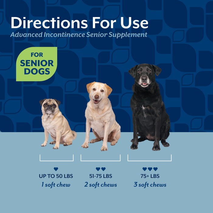 NaturVet Advanced Incontinence Senior Supplement for Dogs, Hickory Smoked Bacon Flavor, 60 Count
