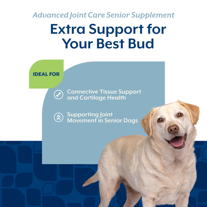 NaturVet Advanced Joint Care Senior Supplements for Dogs, Bacon and Chicken Flavor, 60 Count
