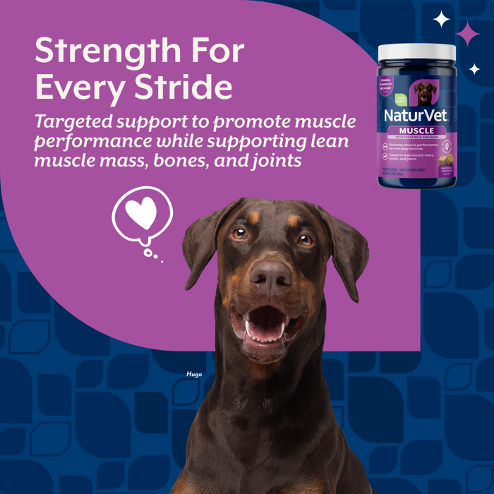 NaturVet Muscle Targeted Care Hip & Joint Supplement for Dogs, Bacon and Chicken Flavor, 60 Count