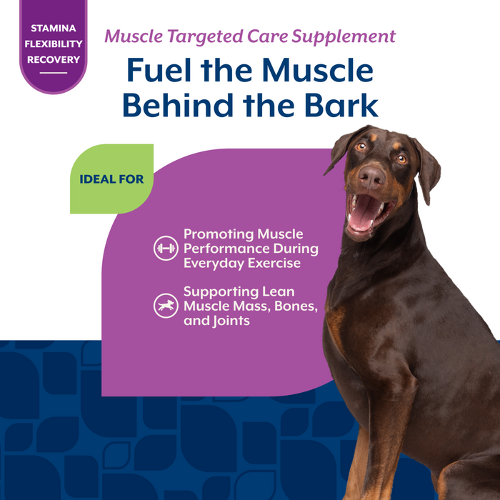 NaturVet Muscle Targeted Care Hip & Joint Supplement for Dogs, Bacon and Chicken Flavor, 60 Count