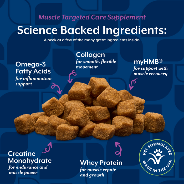NaturVet Muscle Targeted Care Hip & Joint Supplement for Dogs, Bacon and Chicken Flavor, 60 Count
