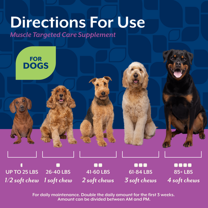 NaturVet Muscle Targeted Care Hip & Joint Supplement for Dogs, Bacon and Chicken Flavor, 60 Count