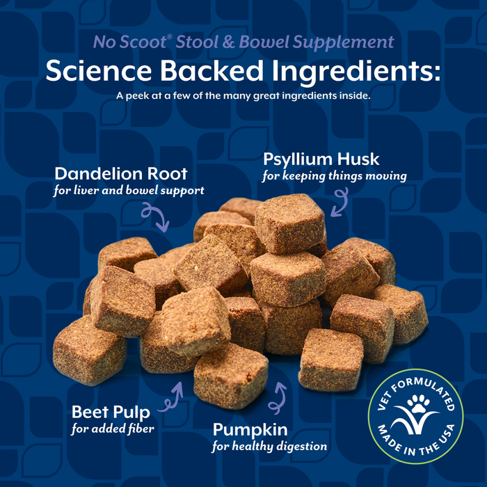 NaturVet No Scoot Stool & Bowel Supplement for Dogs, Hickory Smoked Bacon Flavor, 60 Count