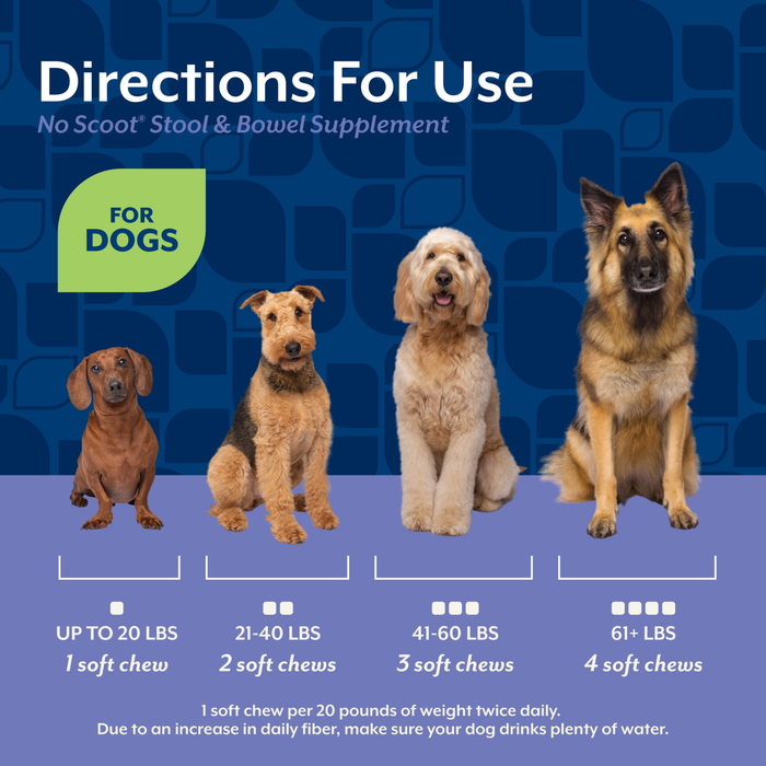 NaturVet No Scoot Stool & Bowel Supplement for Dogs, Hickory Smoked Bacon Flavor, 60 Count