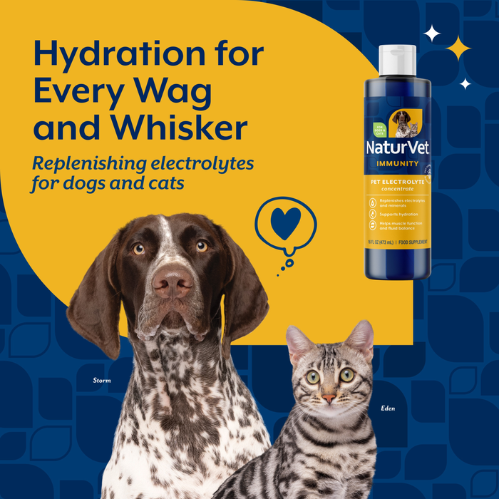 NaturVet Pet Electrolyte Concentrate Immunity Supplement for Dogs and Cats, 16 fl oz