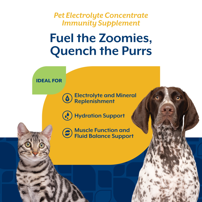 NaturVet Pet Electrolyte Concentrate Immunity Supplement for Dogs and Cats, 16 fl oz