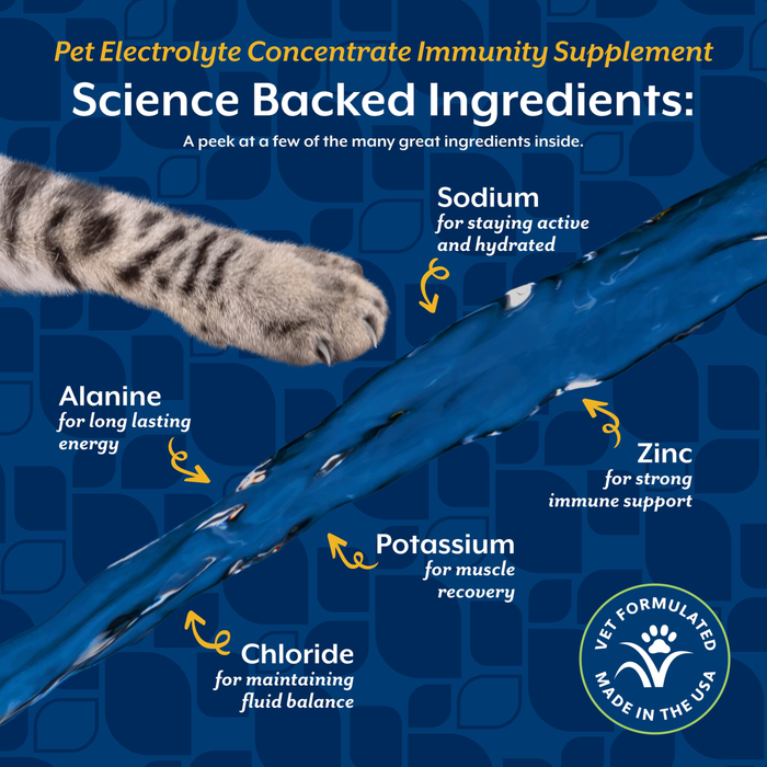 NaturVet Pet Electrolyte Concentrate Immunity Supplement for Dogs and Cats, 16 fl oz