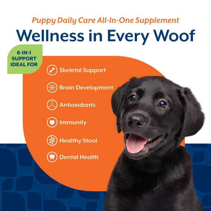 NaturVet Puppy Daily Care All-In-One Supplement for Dogs, 6-In-1 Support, Hickory Smoked Bacon Flavor, 60 Count