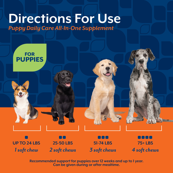 NaturVet Puppy Daily Care All-In-One Supplement for Dogs, 6-In-1 Support, Hickory Smoked Bacon Flavor, 60 Count