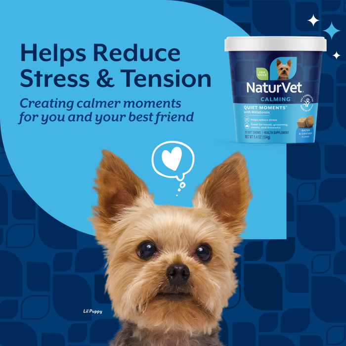 NaturVet Quiet Moments Calming Supplement for Dogs, Bacon and Chicken Flavor, 70 Count