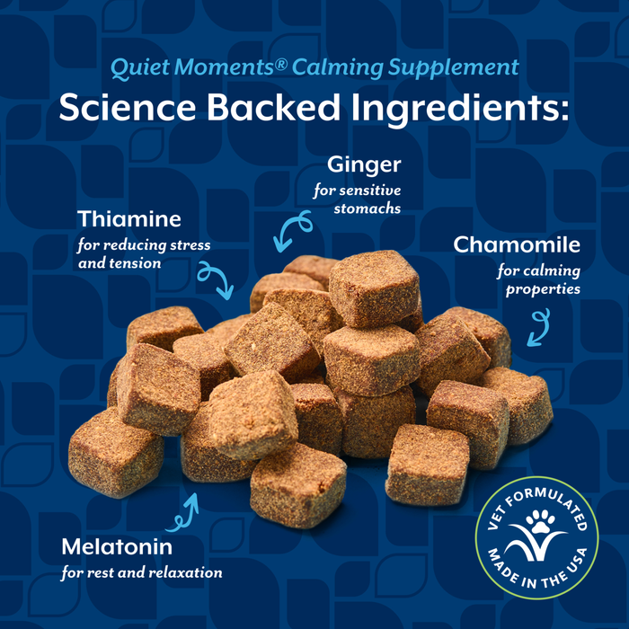 NaturVet Quiet Moments Calming Supplement for Dogs, Bacon and Chicken Flavor, 70 Count