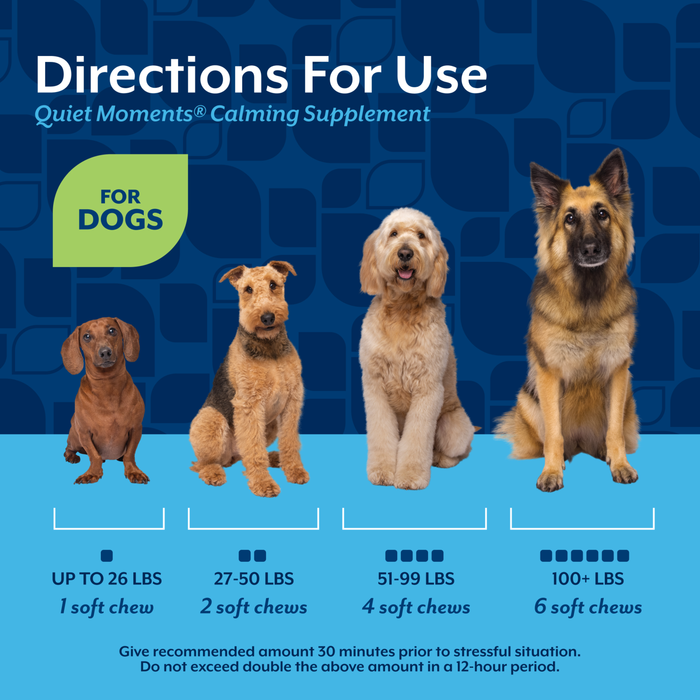 NaturVet Quiet Moments Calming Supplement for Dogs, Bacon and Chicken Flavor, 70 Count