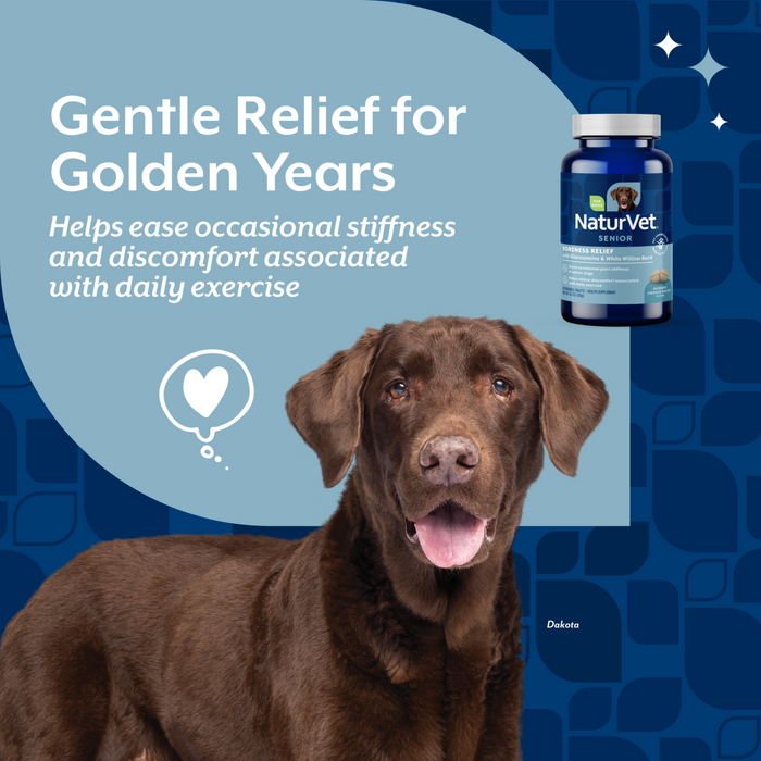 NaturVet Soreness Relief Senior Supplement for Dogs, Hickory Smoked Bacon Flavor, 60 Chewable Tablets
