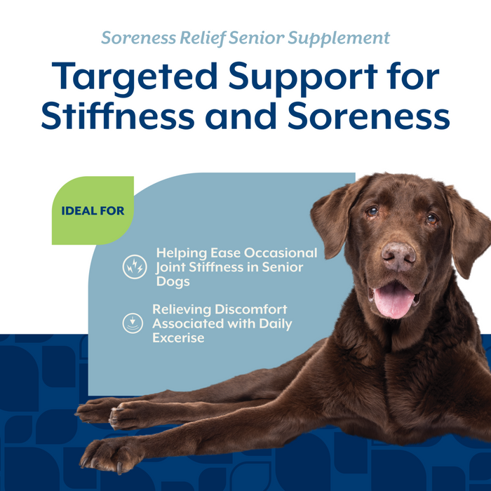 NaturVet Soreness Relief Senior Supplement for Dogs, Hickory Smoked Bacon Flavor, 60 Chewable Tablets