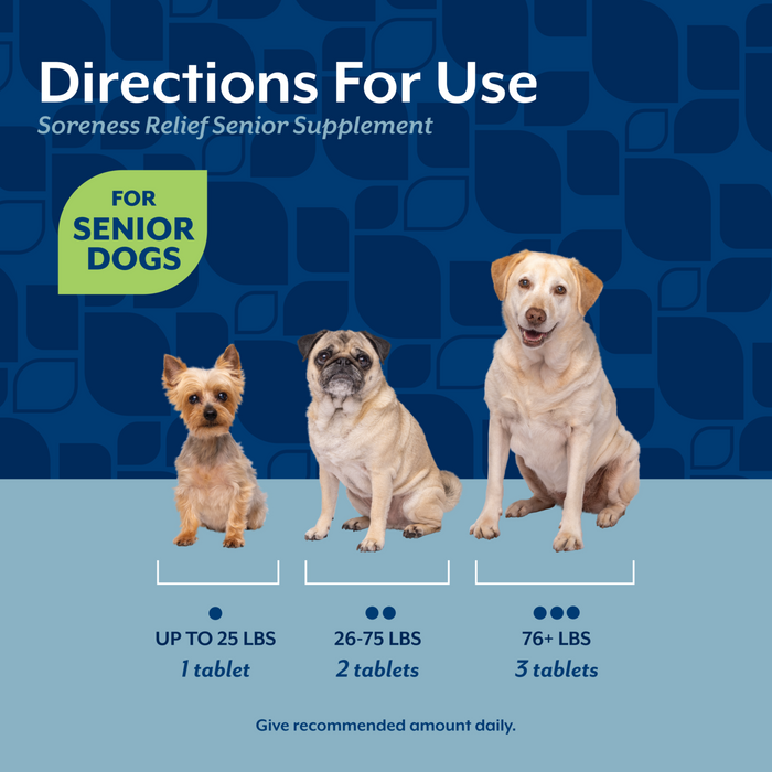 NaturVet Soreness Relief Senior Supplement for Dogs, Hickory Smoked Bacon Flavor, 60 Chewable Tablets