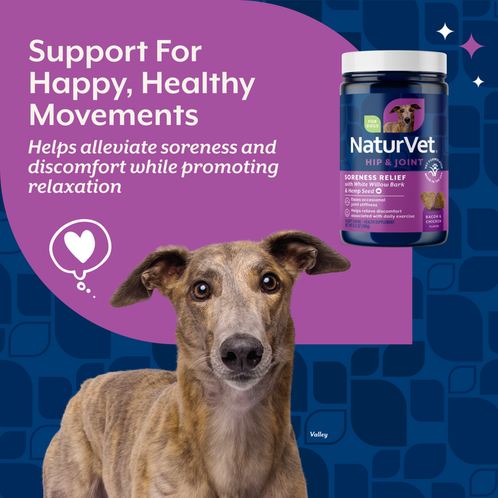 NaturVet Soreness Relief with Hemp Seed Hip & Joint Supplement for Dogs, Bacon and Chicken Flavor, 60 Count