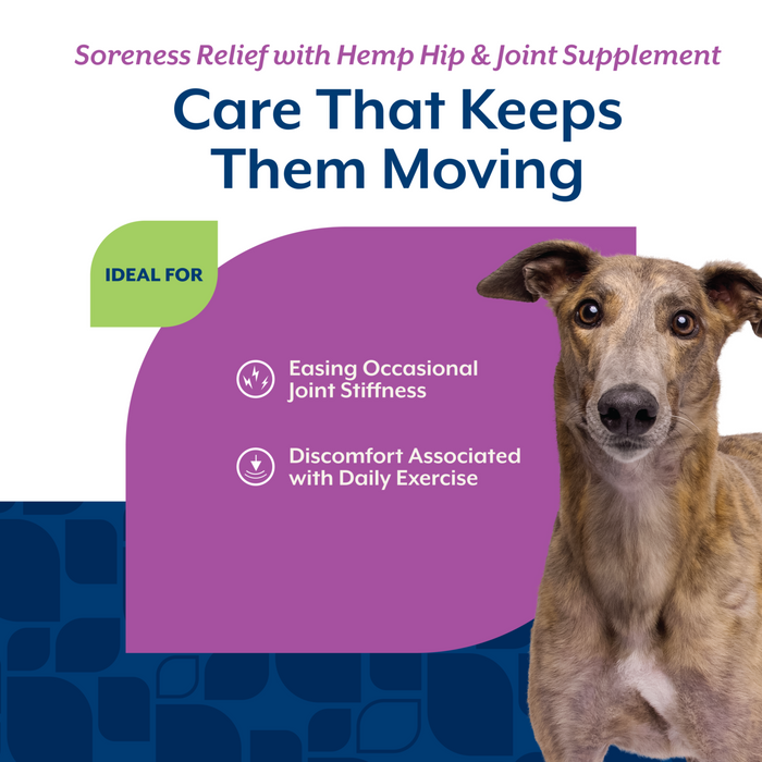 NaturVet Soreness Relief with Hemp Seed Hip & Joint Supplement for Dogs, Bacon and Chicken Flavor, 60 Count