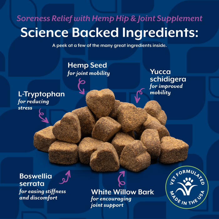 NaturVet Soreness Relief with Hemp Seed Hip & Joint Supplement for Dogs, Bacon and Chicken Flavor, 60 Count