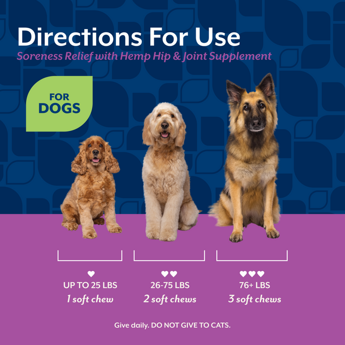 NaturVet Soreness Relief with Hemp Seed Hip & Joint Supplement for Dogs, Bacon and Chicken Flavor, 60 Count