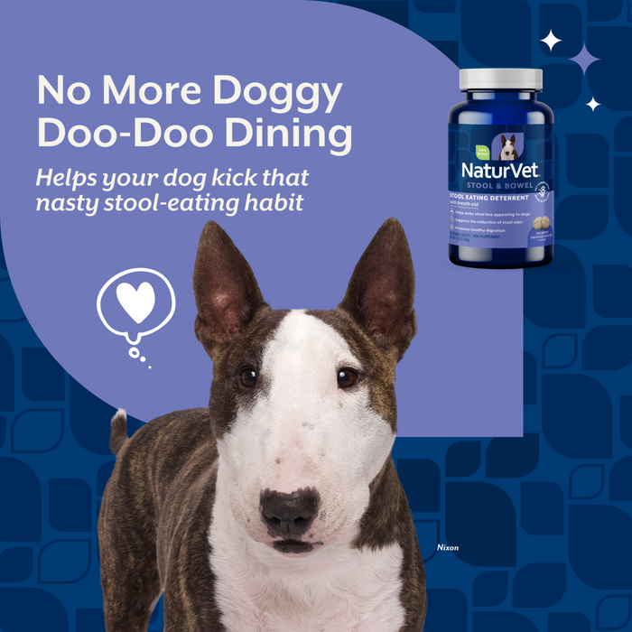 NaturVet Stool Eating Deterrent Stool & Bowel Supplement for Dogs, Hickory Smoked Bacon Flavor, 60 Chewable Tablets