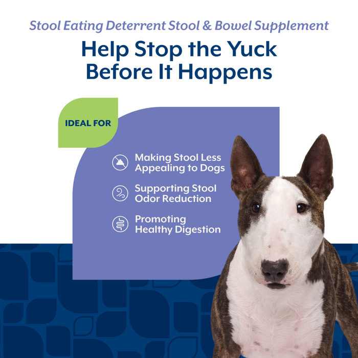 NaturVet Stool Eating Deterrent Stool & Bowel Supplement for Dogs, Hickory Smoked Bacon Flavor, 60 Chewable Tablets