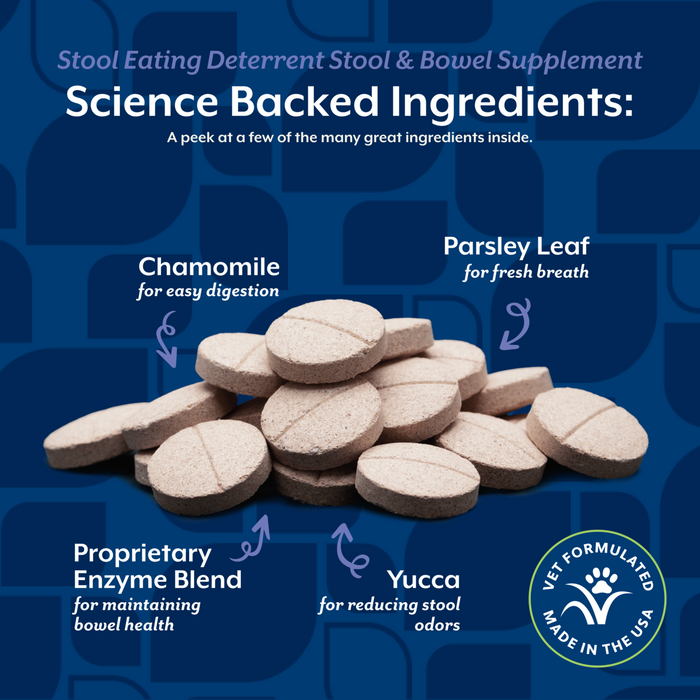 NaturVet Stool Eating Deterrent Stool & Bowel Supplement for Dogs, Hickory Smoked Bacon Flavor, 60 Chewable Tablets