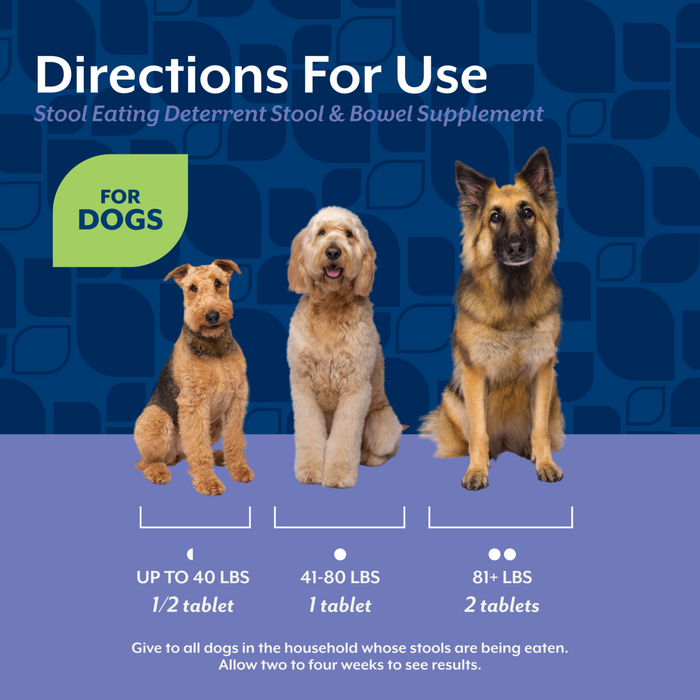NaturVet Stool Eating Deterrent Stool & Bowel Supplement for Dogs, Hickory Smoked Bacon Flavor, 60 Chewable Tablets