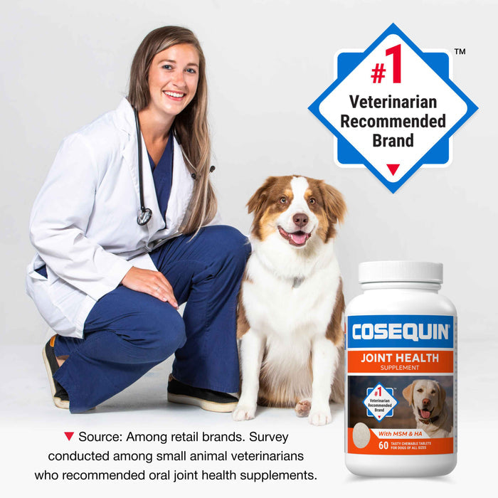 Nutramax Cosequin Maximum Strength Plus MSM & HA Chewable Tablets for Dogs, Count of 60