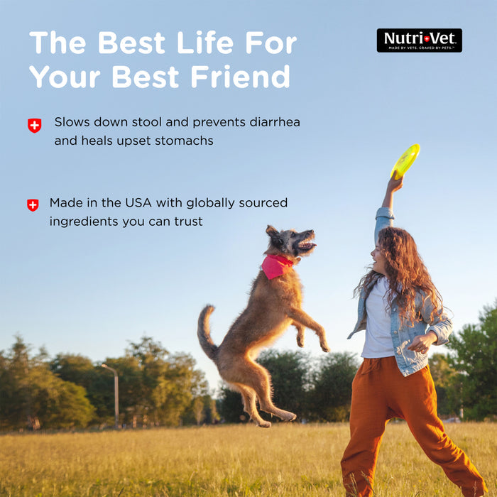Nutri-Vet Anti-Diarrhea Liquid for Dogs, 4 oz