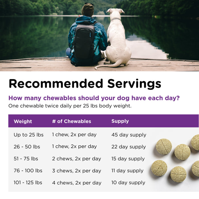 Nutri-Vet Bladder Control Supplement for Dogs, 90 Chewable Tablets