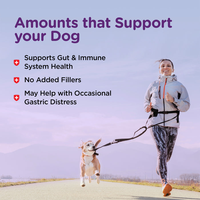 Nutri-Vet Bladder Control Supplement for Dogs, 90 Chewable Tablets