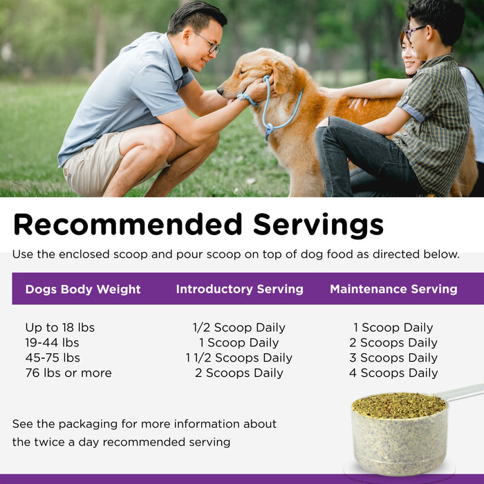 Nutri-Vet Daily Digestive Powder for Dogs with Omega 3 & 6 Fatty Acids,  1.76 lb
