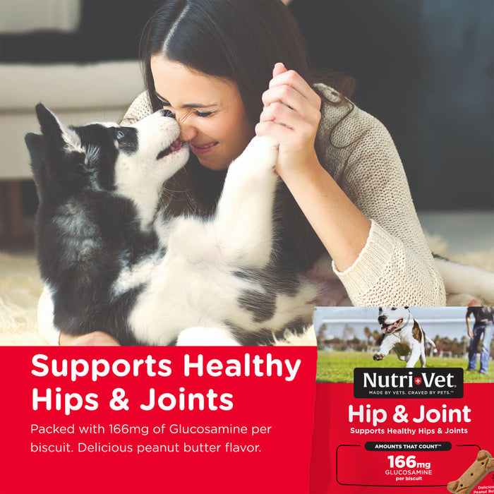 Nutri-Vet Hip & Joint Biscuits for Dogs, 166mg Glucosamine, 19.5 oz