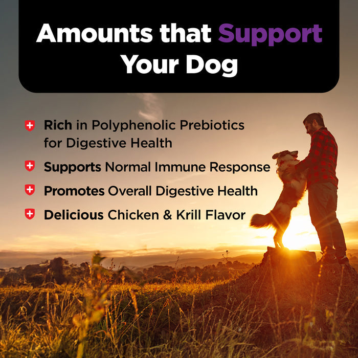 Nutri-Vet Immune & Digestive Health Biscuits for Dogs, 16 oz