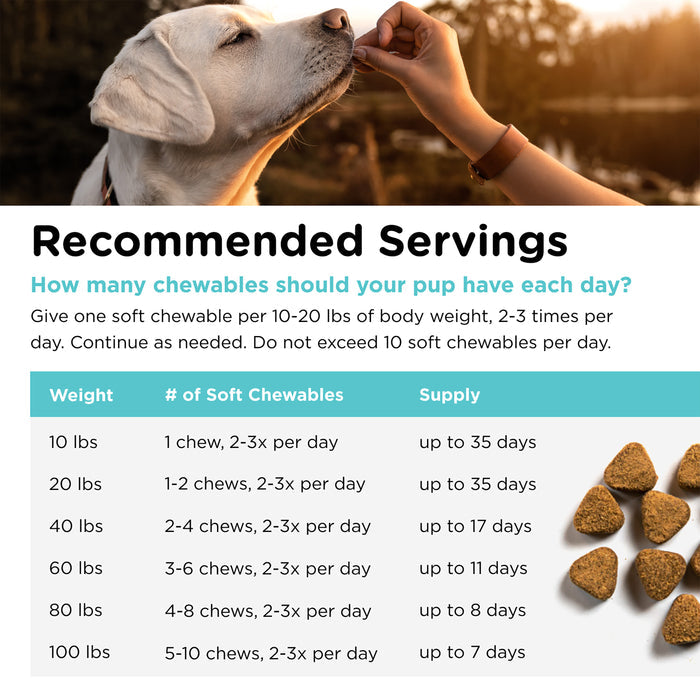 Nutri-Vet Pet-Ease Soft Chews for Dogs, 65 Soft Chews
