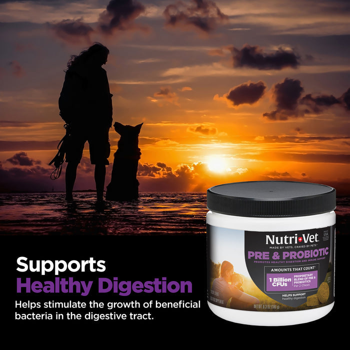 Nutri-Vet Pre and Probiotic Soft Chews for Dogs, 120 Soft Chews