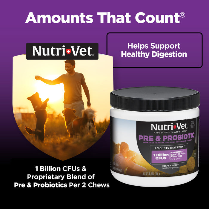 Nutri-Vet Pre and Probiotic Soft Chews for Dogs, 120 Soft Chews
