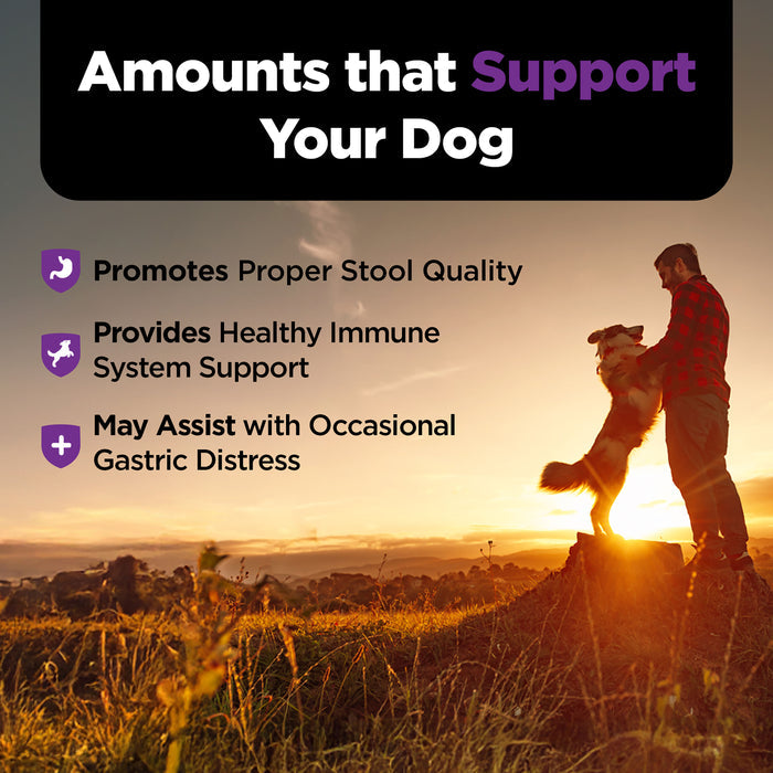 Nutri-Vet Pre and Probiotic Soft Chews for Dogs, 120 Soft Chews