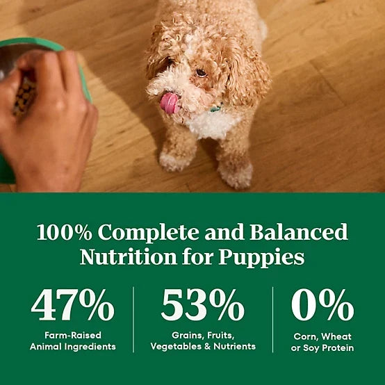 Nutro Natural Choice Large Breed Puppy Farm-Raised Chicken, Brown Rice and Sweet Potato Recipe Dry Dog Food, 13lb