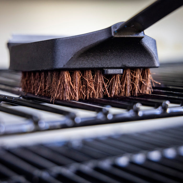 Palmyra Cleaning Brush