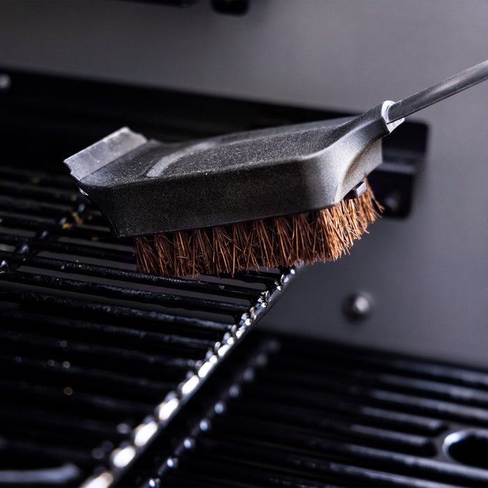 Palmyra Cleaning Brush