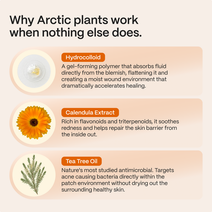 Infographic on how hydrocolloid, calendula and tea tree oil work in Norse Organics Acne Patches