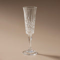 Pavilion Acrylic Champagne Flute Clear - Few and Far - Glassware