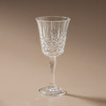 Pavilion Acrylic Wine Glass Clear - Few and Far - Glassware