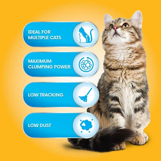 Paws & Claws 4-in-1 Action Fresh Floral Scented Clumping Clay Cat Litter