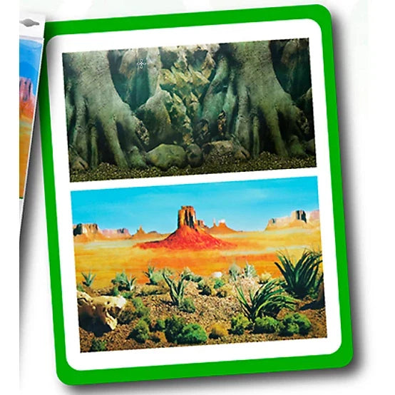 Penn-Plax Reptology Cactus Garden/Rainforest Background, 10g